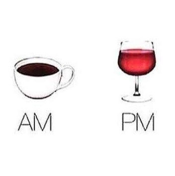 d66e4e1b1244ce88d0e799c1b18447e5--wine-funnies-wine-meme-humor